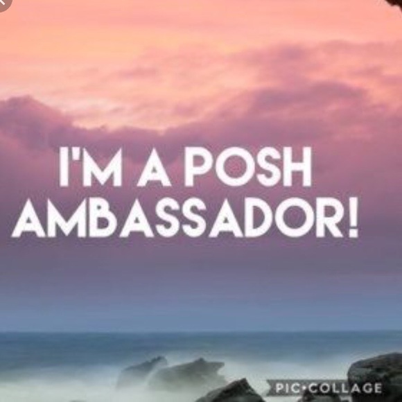 Meet your Posher, Lisa - Picture 4 of 6